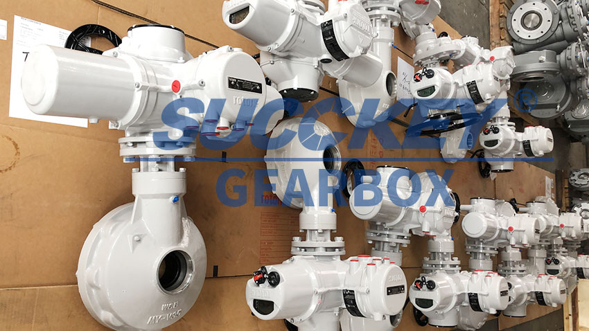 Bevel Gearboxes couple with Rotork Actuators ready to delivery